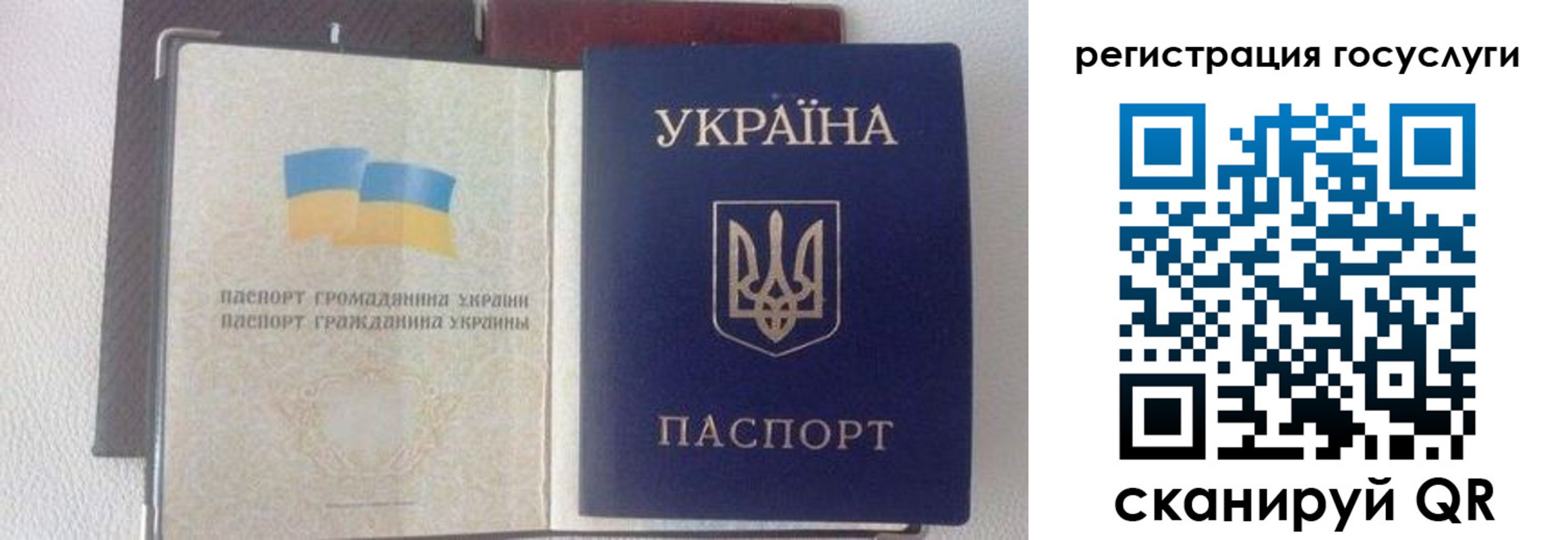 прописка для работы в Долгопрудном